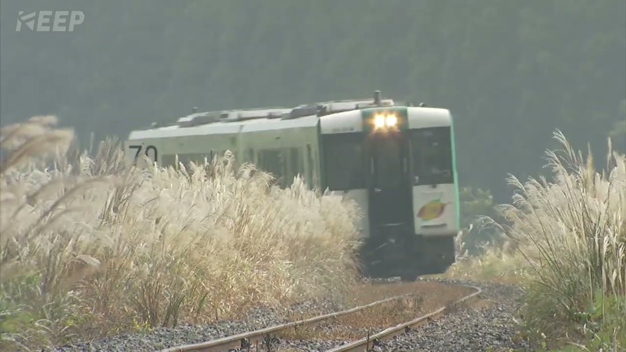 鉄道】列車紀行 [086] 東北/陸羽西線[撮影2011年] キハ110系/列車に