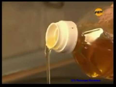 Чем полезны растительные масла. На каком масле лучше жарить?
