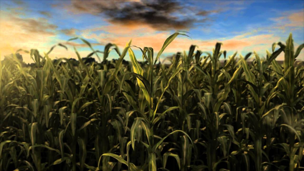 MicroEssentials® SZ™ Increased Nutrient Uptake - YouTube