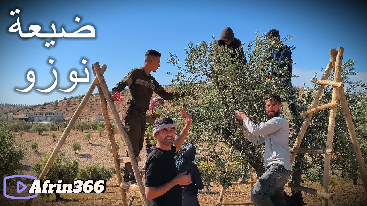 قرية نازو اوشاغي ناحية شران - Gundê Naza Efrîn