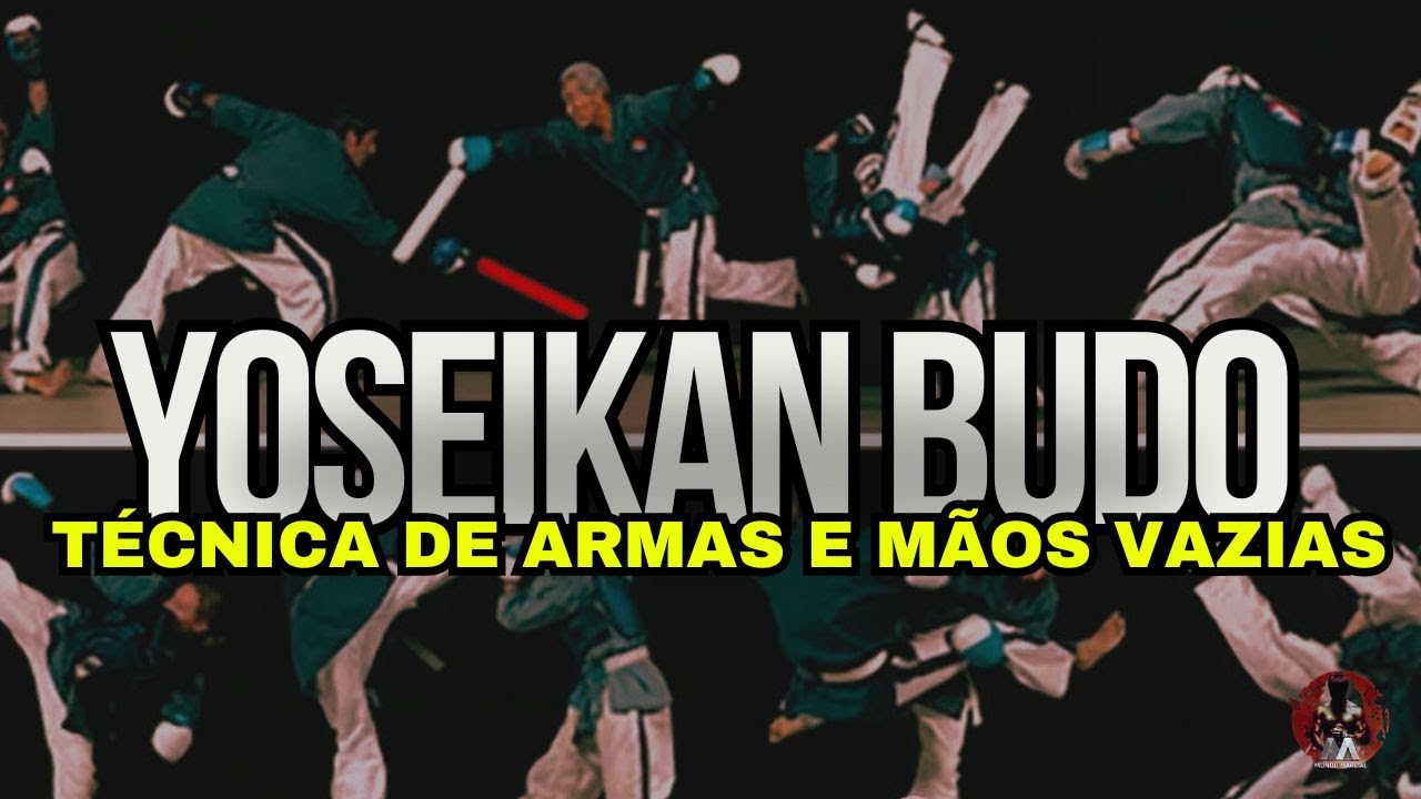 Yoseikan Budo: O Estilo que Une Múltiplas Artes Marciais em Um!