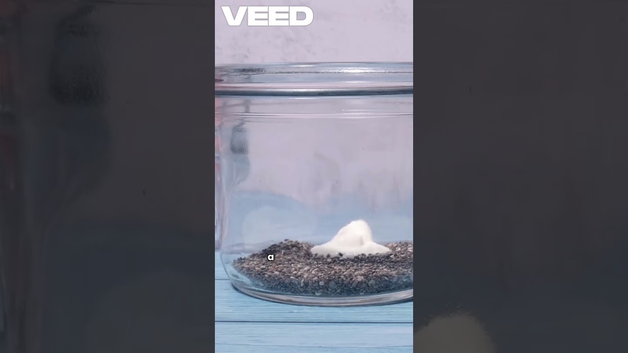 “I Drank June Plum, Lemon, Ginger, Honey & Coconut Water Daily... my Body Changed Naturally!”