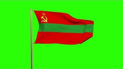 Transnistria Flag Waving In The Wind. Green Screen, Alpha Matte. Loopable Animat Stock Animation