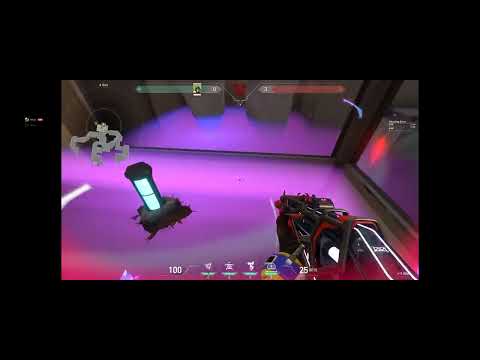 KJ Fracture Plant Unbreakable Molly Lineup Guide A Default (Original)