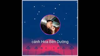 cánh Hoa bên dường