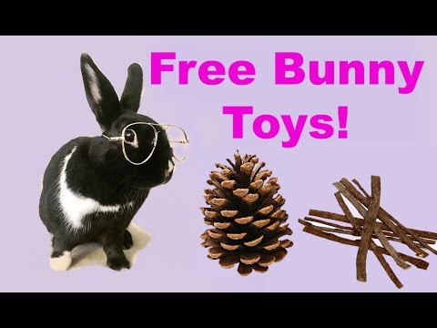 toys for bunnies