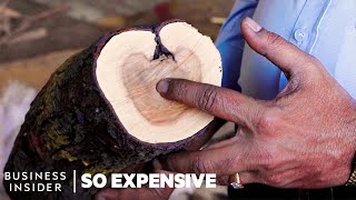 Why Sandalwood Is So Expensive | So Expensive