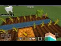 How to grow pumpkins and melons in minecraft