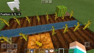 How to grow pumpkins and melons in minecraft screenshot 1