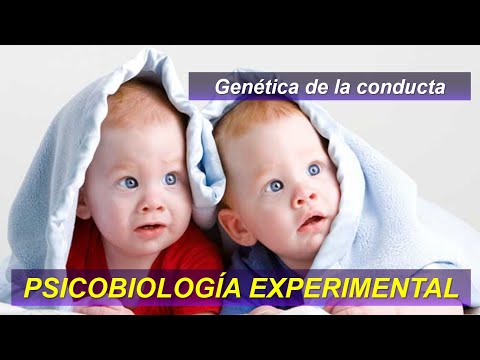 Curso Psicobiología Experimental | Dr Arias | Clase 2 - Parte 2: Genética de la conducta