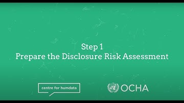 Step 1: Prepare the Disclosure Risk Assessment