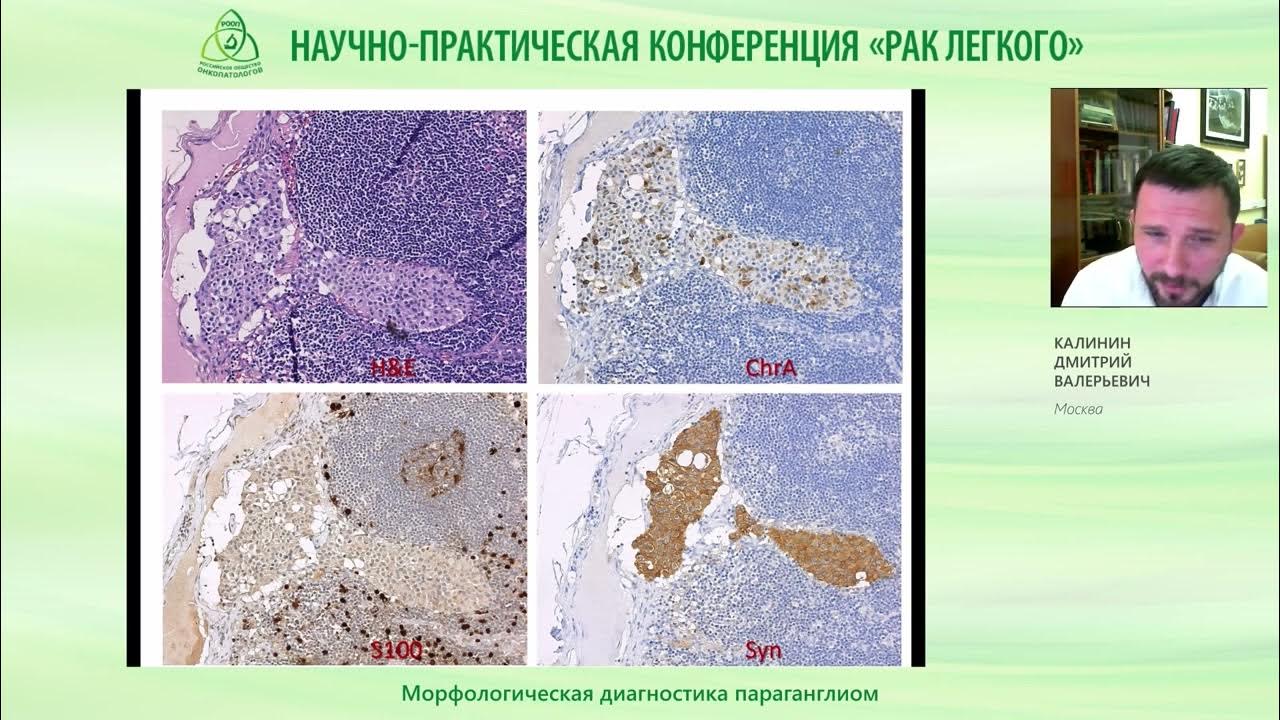 Национальный морфологический центр