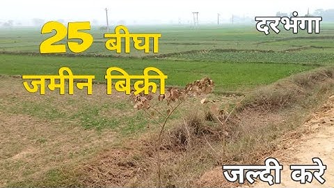 25 बीघा प्रॉपर्टी फॉर सेल | नरबंड अटहर रोड | दरभंगा || नियर सोनकी रोड || प्राइम लोकेशन