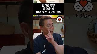 반려견에게 물렸을 때 절대 하면 안되는 행동 3가지!