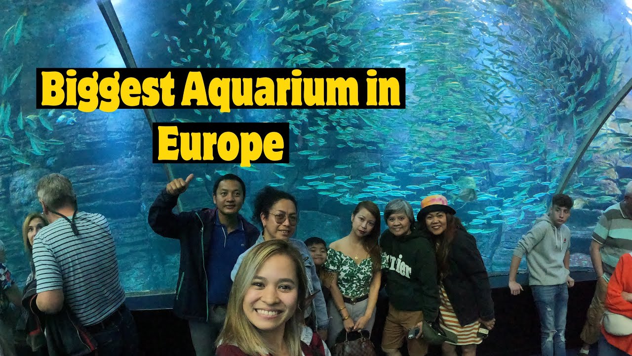 LE PLUS GRAND AQUARIUM D’EUROPE NAUSICAA,À BOULOGNE-SUR-MER