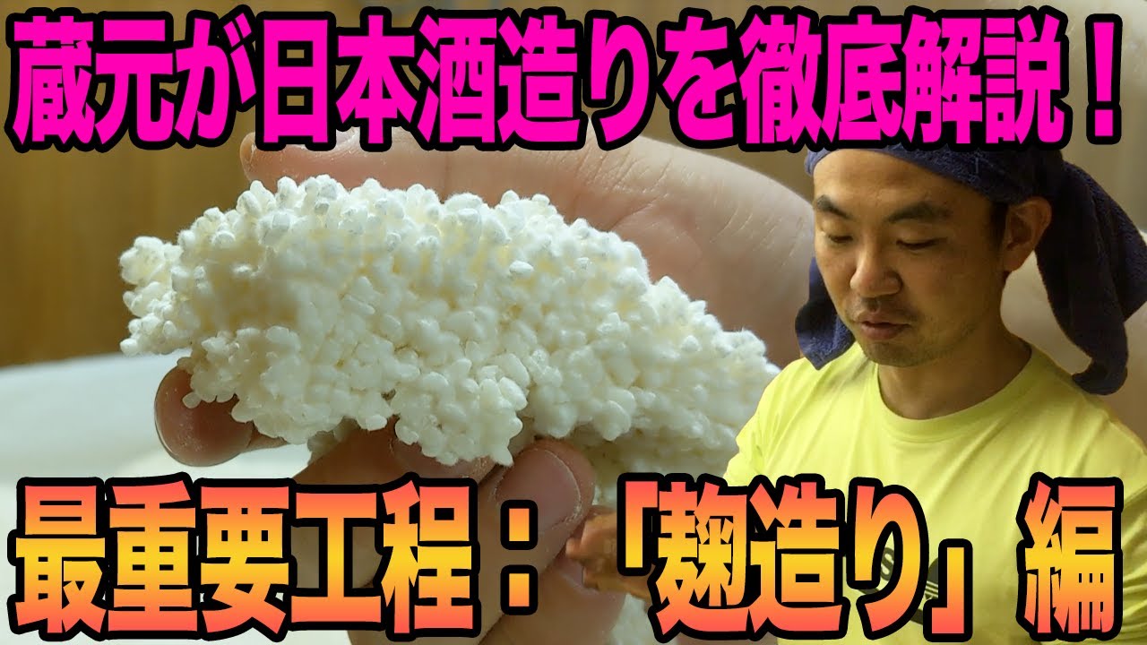 【蔵元解説】美味しい日本酒はこうして出来る！最重要工程「麹造り」を徹底解説！