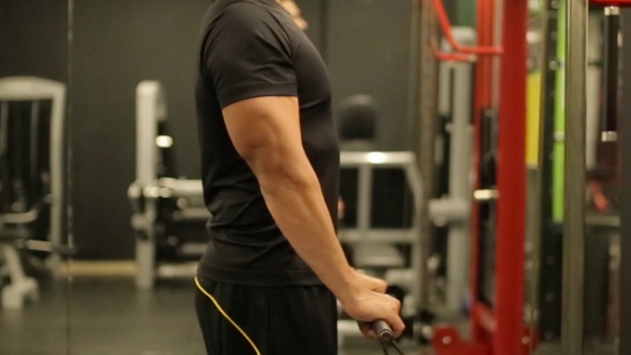 Reverse Cable Bicep Curl Variations