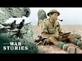 The north african campaign the dangerous conditions of desert warfare  battlezone  war stories