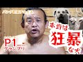 【ベスト10】本当は狂暴な犬ランキング【P1グランプリ】