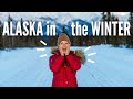 We Road Tripped ALASKA in the WINTER!