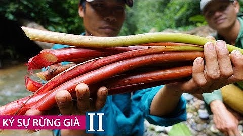 RỪNG HOANG VU • Ký Sự Rừng Già II • Tập 5