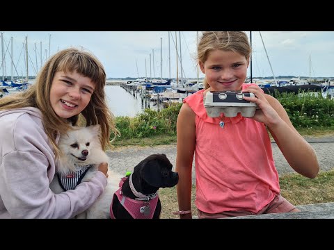 Video: Støt I Bunden Af foden: Det Klør, Ingen Smerter, Gør Ondt At Gå Osv