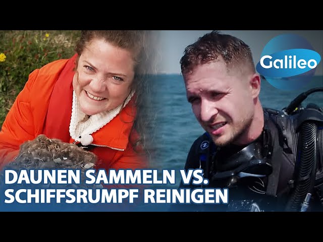 Vincent zeigt vollen Körpereinsatz beim Schiffsrumpf reinigen vs. Maike auf der suche nach Daunen!