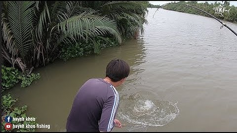 CÂU CÁ TRA KHỦNG SÔNG BASI TRÀ VINH | HUYNH KHOA FISHING