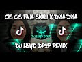 DJ CIS CIS FAJA SKALI X DOLA DOLA FINAL VERSION TIKTOK TREND 2024 DJ LLOYD DROP REMIX
