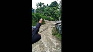 PERJALANAN KERUMAH KENANGAN NENEK