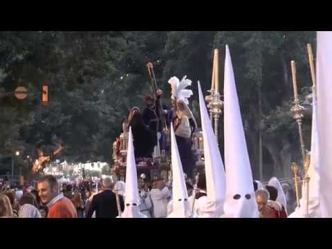 Fervorosa Hermandad y Antigua Cofradía del Divino Nombre de Jesús Nazareno de la Salutación, María Santísima del Patrocinio Reina de los Cielos, San Juan Evangelista, Santa Mujer Verónica y de la Santa Faz de Nuestro Señor Jesucristo