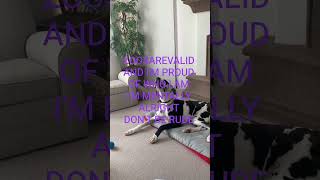 Watch my dog knotting huge deep in my p**sy hard telegram @k9slvvtt  #zoopride #doglove #zoosexual