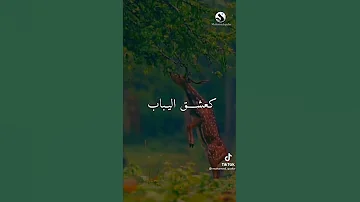 اناشيد اسلاميه اناشيد دينيه نغمات اسلاميه نغمات دينيه حالات واتس اب اسلاميه اسلاميات 