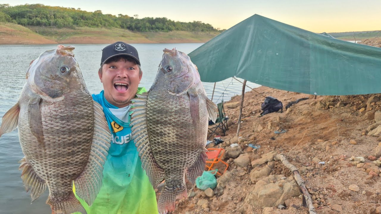 Tilápias e Trairas de barranco inacreditável tudo oque aconteceu, Pescaria com acampamento!