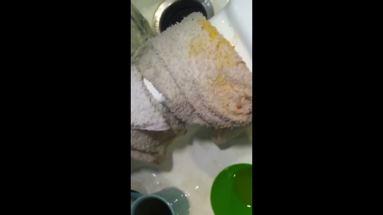 How to Use a Home-made Reverse Gravity Bong