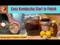 Kombucha from start to finish  probiotic drinks for gut health