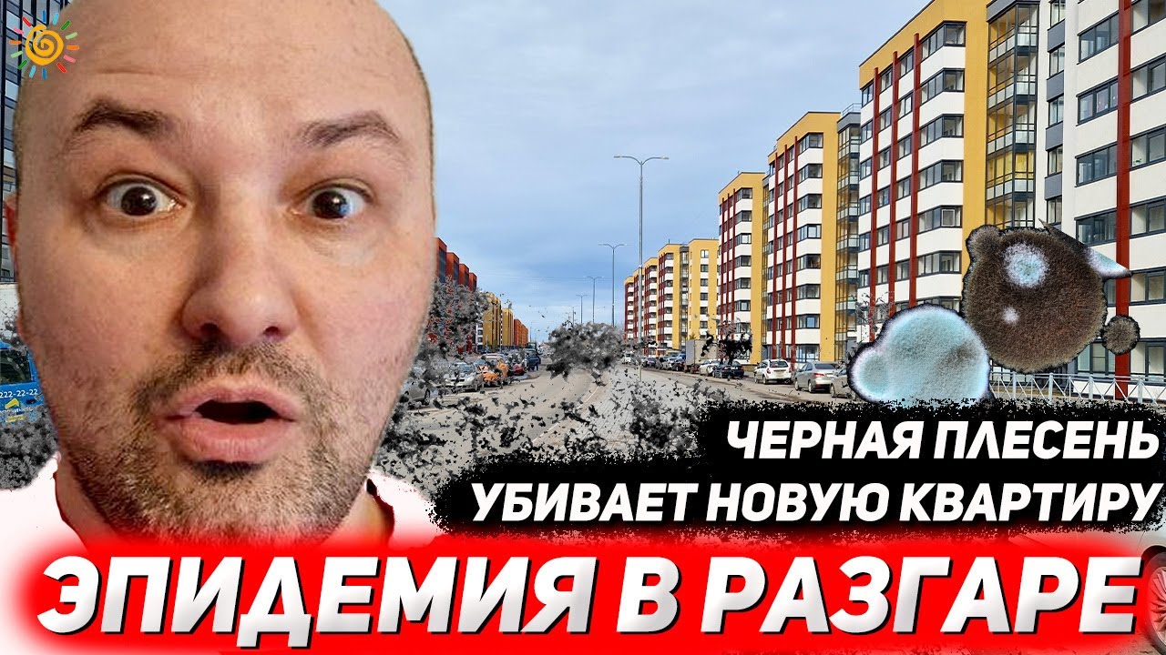 Черная плесень убивает Новую квартиру Сетл Сити в Новостройке Солнечный ...