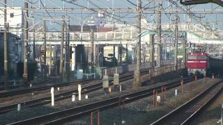 [HD]フル編成の安中貨物!EF81-85牽引5388レ