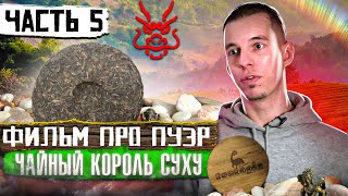 ФИЛЬМ ПРО ПУЭР // ЧАЙ ПУЭР // ЧАЙНЫЙ КОРОЛЬ СУХУ // КАК ДЕЛАЮТ ШЕН // 5 серия