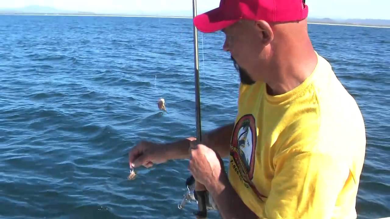 Mazatlan Mexico bottom fishing 2 - YouTube