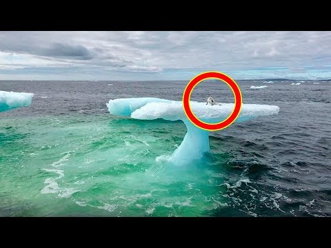 Vídeo: La Abuela Flota Hacia El Mar En Iceberg