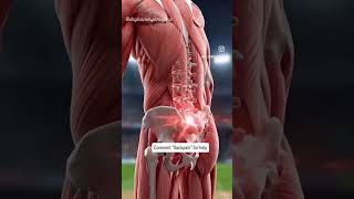 🏏 Fast bowling is not just skill…It’s EXTREME spinal stress. ⚠️