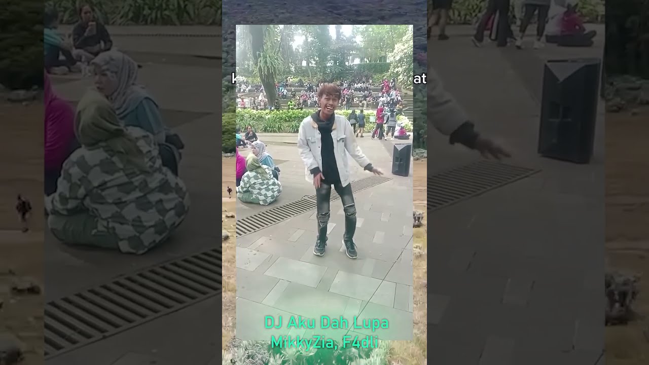 DJ Aku Dah Lupa - MikkyZia, F4dli