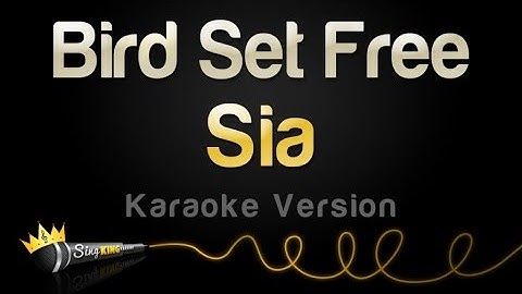 Bird Set Free Karaoke version - Karaoke performance video thumbnail