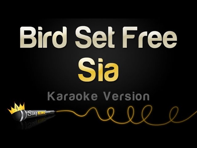 Sia - Bird Set Free (Karaoke Version)