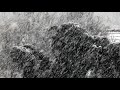 Trixcis - Song of the Wind – Beautiful Lyrical Instrumental Music