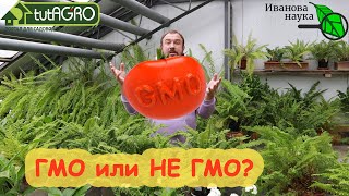 ГМО, НЕ ГМО или химоза? Как распознать продукт в гипермаркете и на рынке? Консультация генетика.