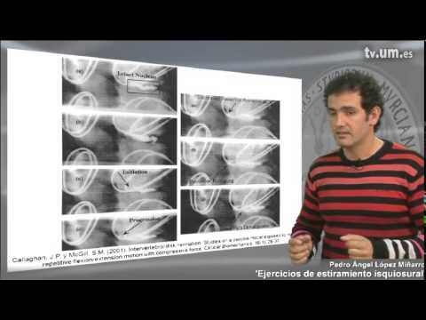 Ejercicios de estiramiento isquiosural