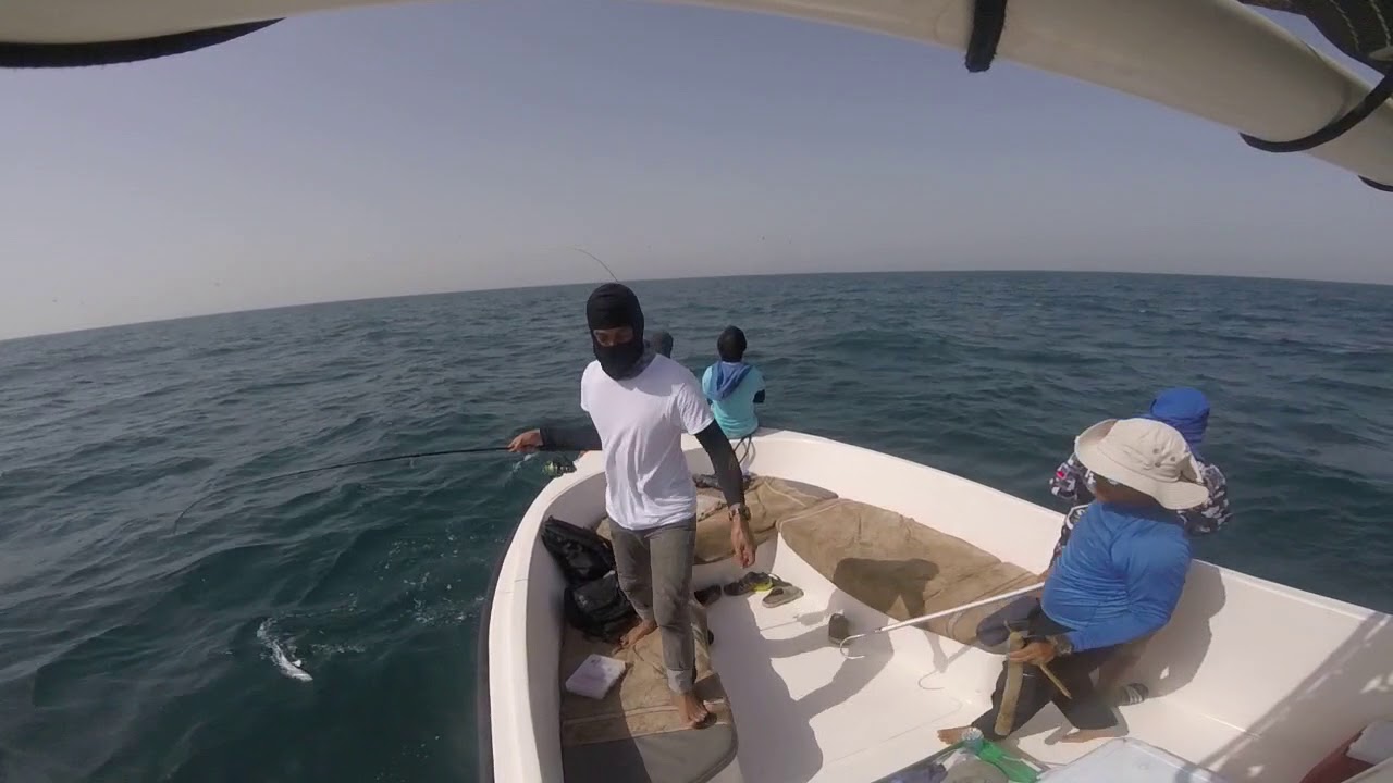 Queenfishing(5)150618