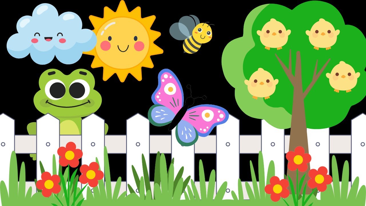 Детская сенсорика: друзья природы | Визуальное слежение | Спокойная музыка | Высокая контрастность